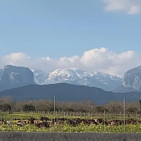 Stunning Country With Panoramic Mountain Views Villa