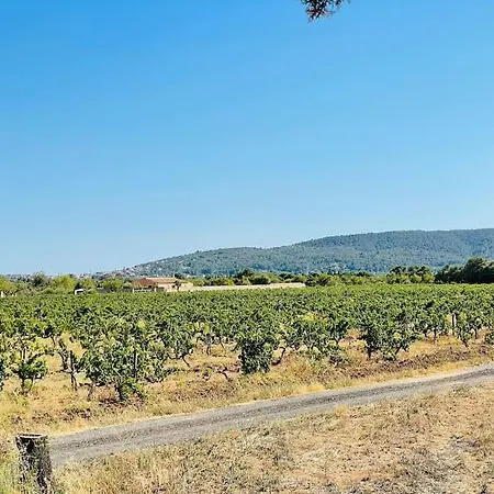 Stunning Country With Panoramic Mountain Views *