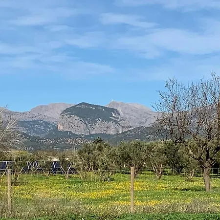 Stunning Country With Panoramic Mountain Views Biniali (Majorca)