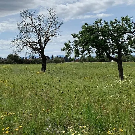 Stunning Country With Panoramic Mountain Views * Biniali (Majorca)