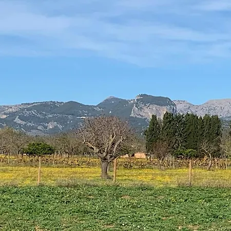 Stunning Country With Panoramic Mountain Views Villa