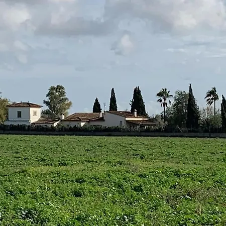 Villa Stunning Country With Panoramic Mountain Views Biniali (Majorca)